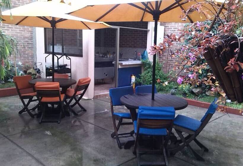 Fotos del hotel Morazul:  14