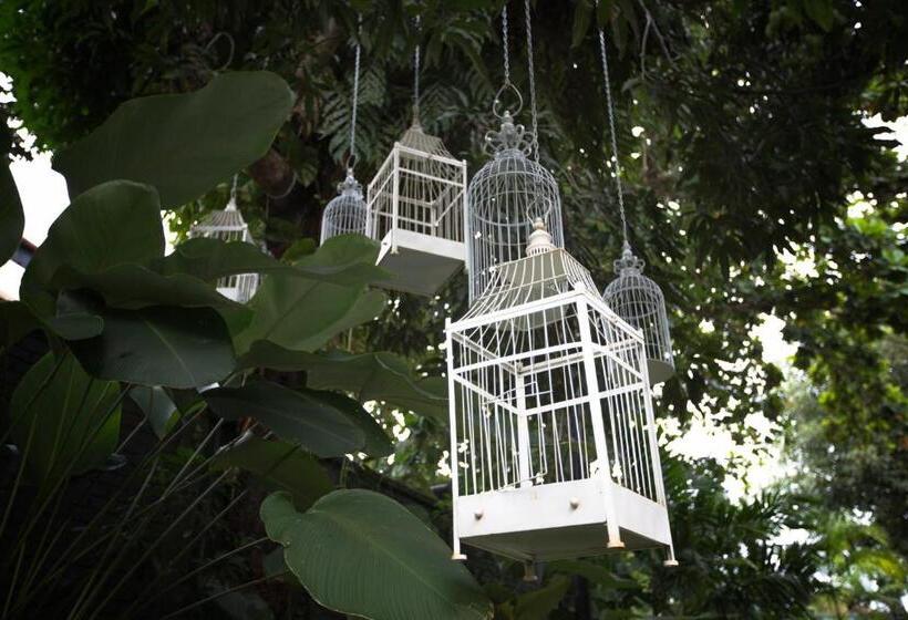 Fotos del hotel Muntri Grove:  7