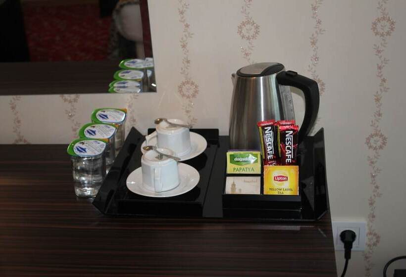 Fotos del hotel Grand Temel:  25