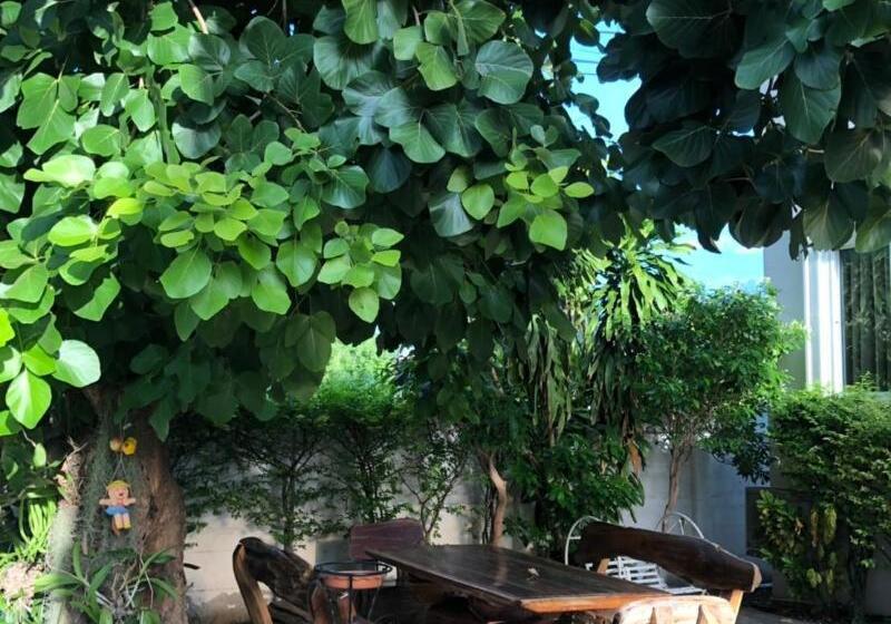 Fotos del hotel Panwalee:  4