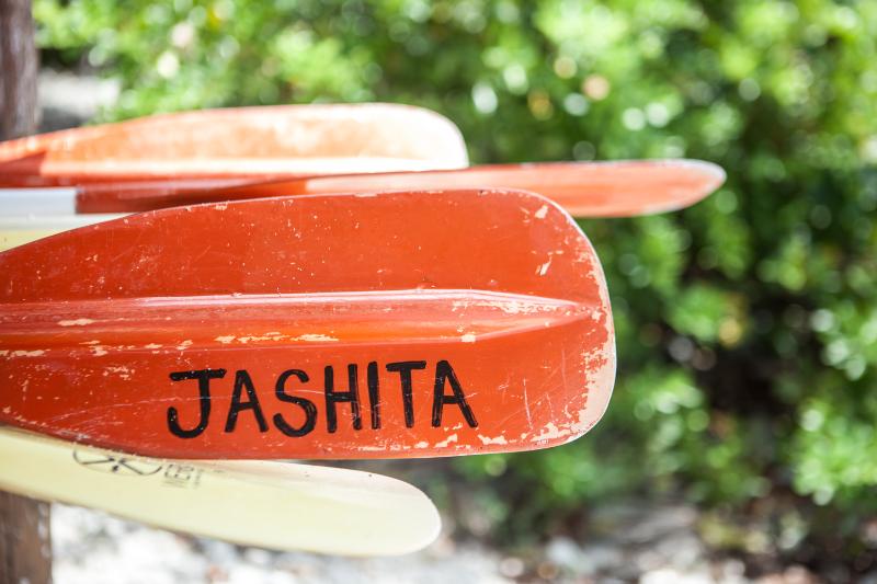 Fotos del hotel Jashita:  7