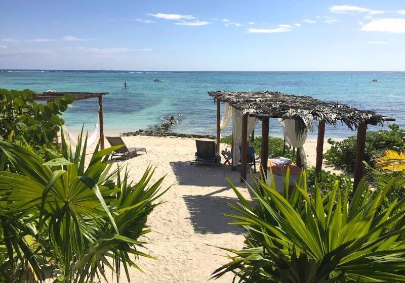 Fotos del hotel Jashita:  13