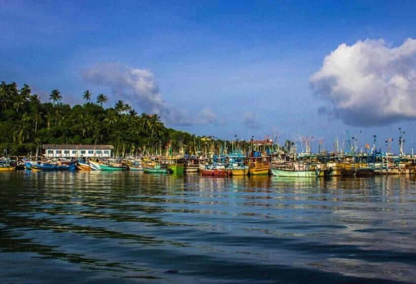 Fotos del hotel Coralworld:  23