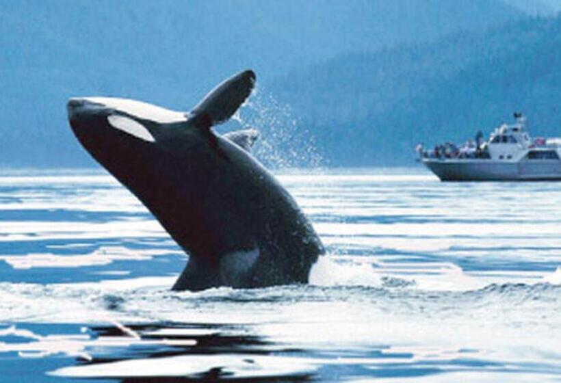 Fotos del hotel Coralworld:  7