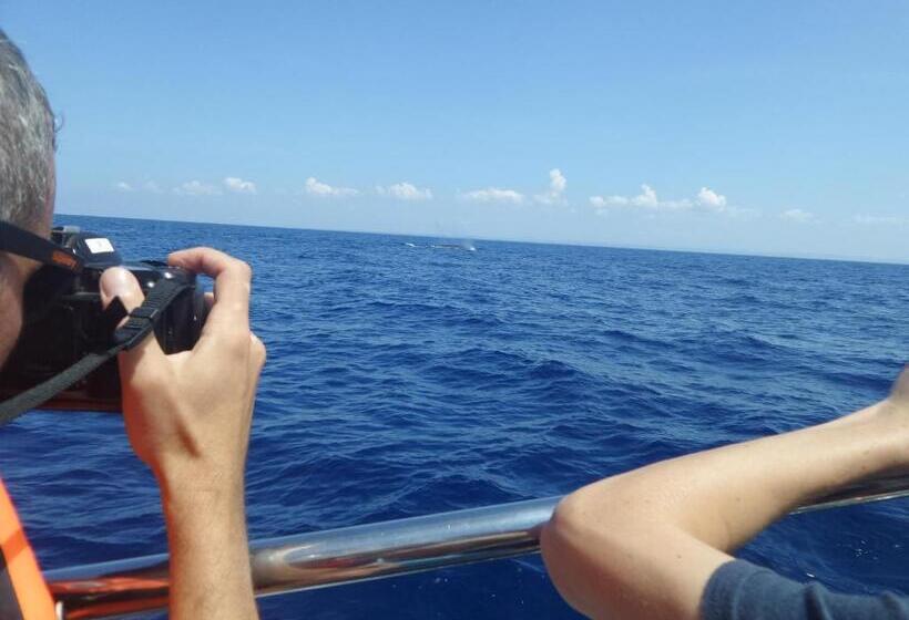 Fotos del hotel Coralworld:  14