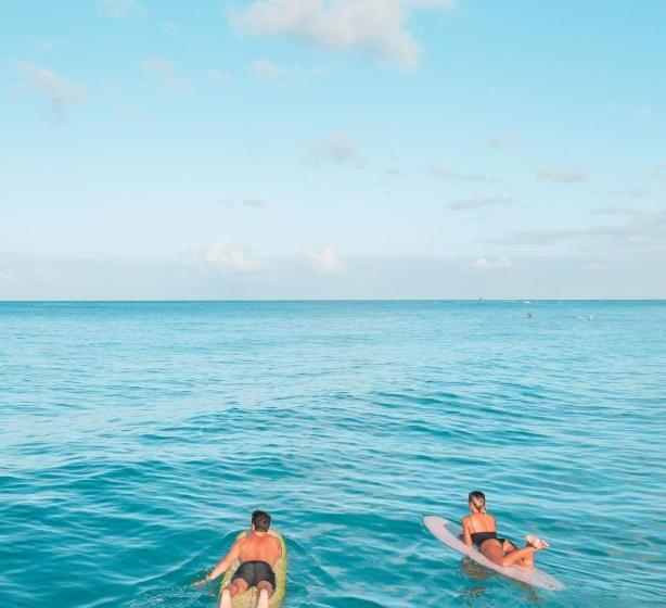 Fotos del hotel Noomoo:  11