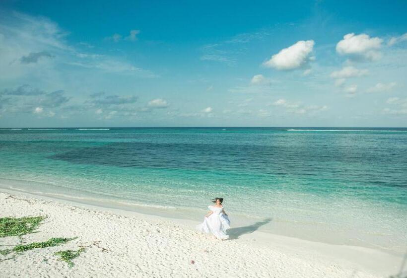 Fotos del hotel Noomoo:  15