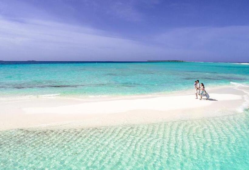 Fotos del hotel Noomoo:  6