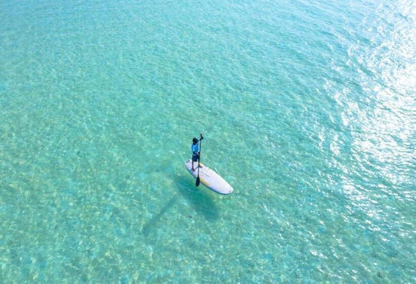 Fotos del hotel Noomoo:  9