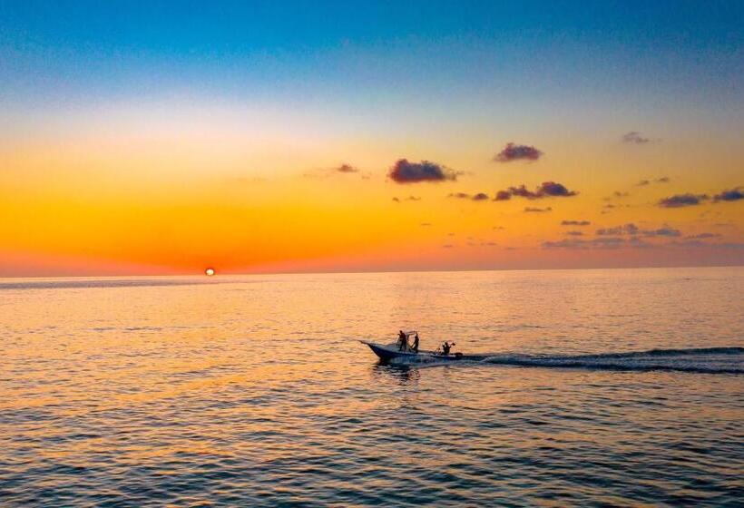 Fotos del hotel Noomoo:  13