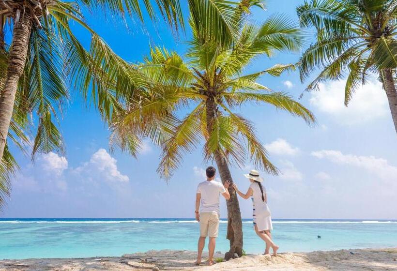 Fotos del hotel Noomoo:  14