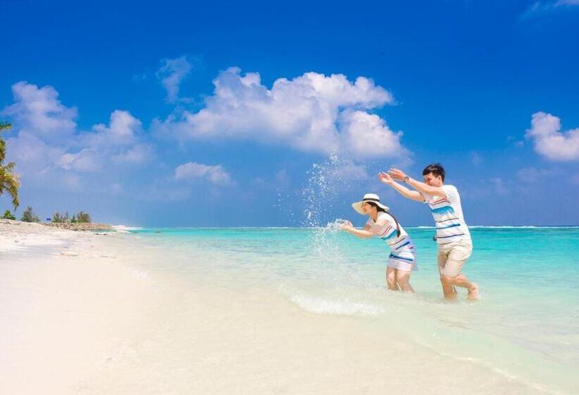 Fotos del hotel Noomoo:  5