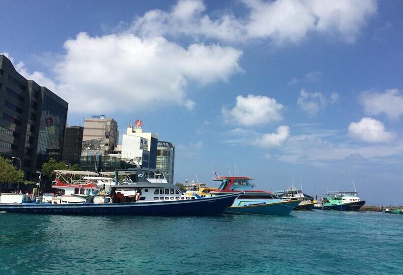 Fotos del hotel Pine Lodge:  8