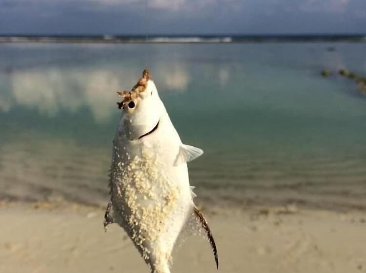 Fotos del hotel Pine Lodge:  7