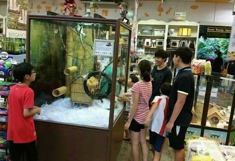 Fotos del hotel Rg Heritage Boutique:  22