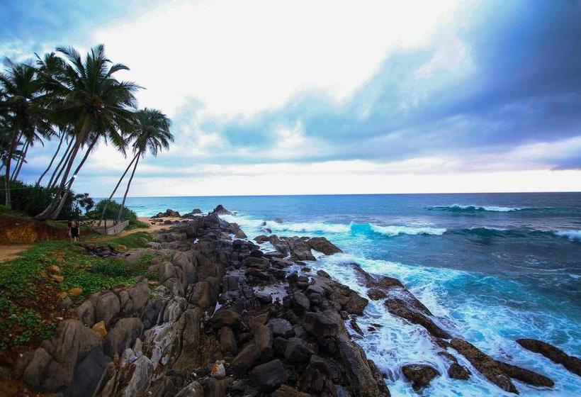 Fotos del hotel Sevonra:  9