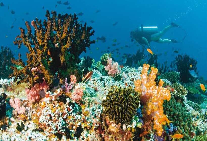 Fotos del hotel Vista Beach Retreat:  24