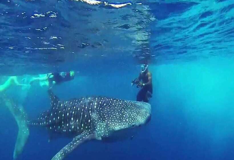 Fotos del hotel Vista Beach Retreat:  8