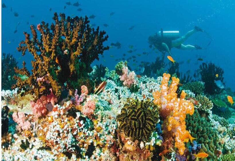 Fotos del hotel Vista Beach Retreat:  23