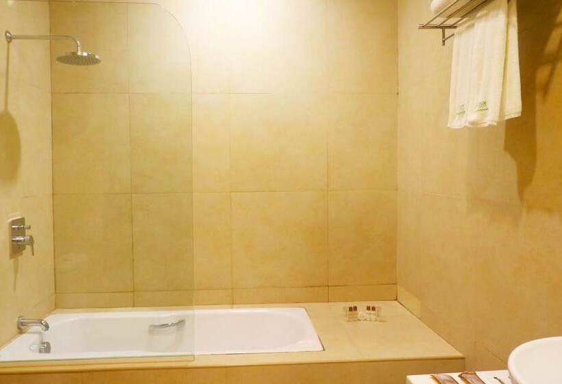 Fotos del hotel Palm Grass:  6