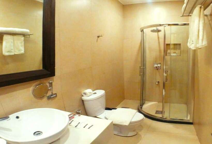 Fotos del hotel Palm Grass:  21