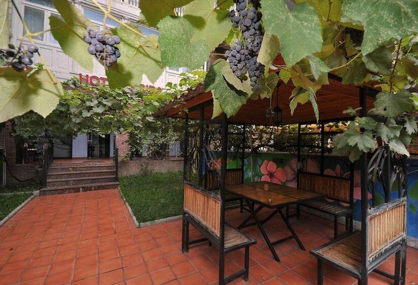 Fotos del hotel Frida:  7