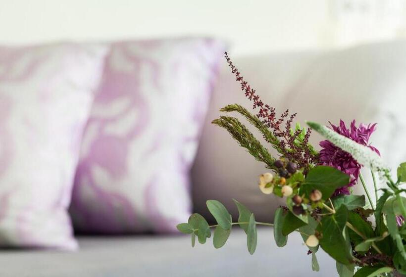 Fotos del hotel Viento10:  9