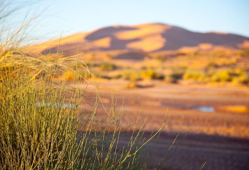 Fotos del hotel Kam Kam Dunes:  11