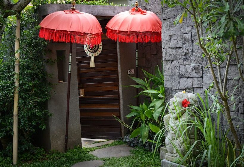 Fotos del hotel Purana Boutique Resort:  14