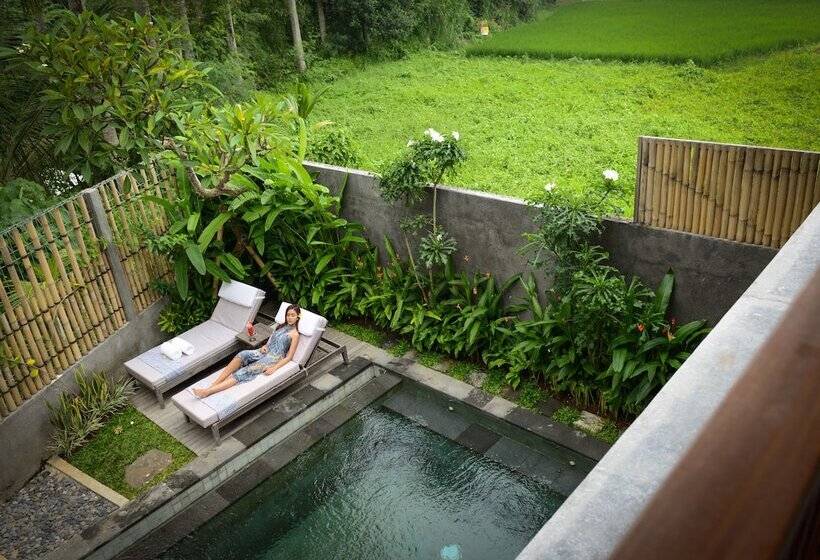 Fotos del hotel Purana Boutique Resort:  7