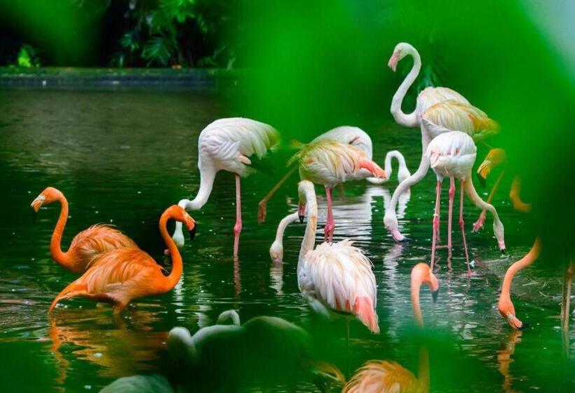 Fotos del hotel Xinghe Hotel East Railway Branch:  16