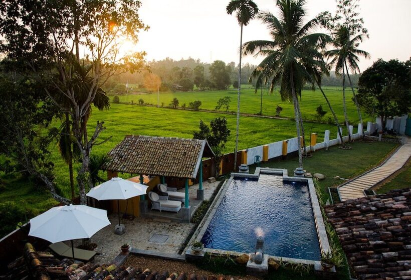 Fotos del hotel Villa Kubura:  11