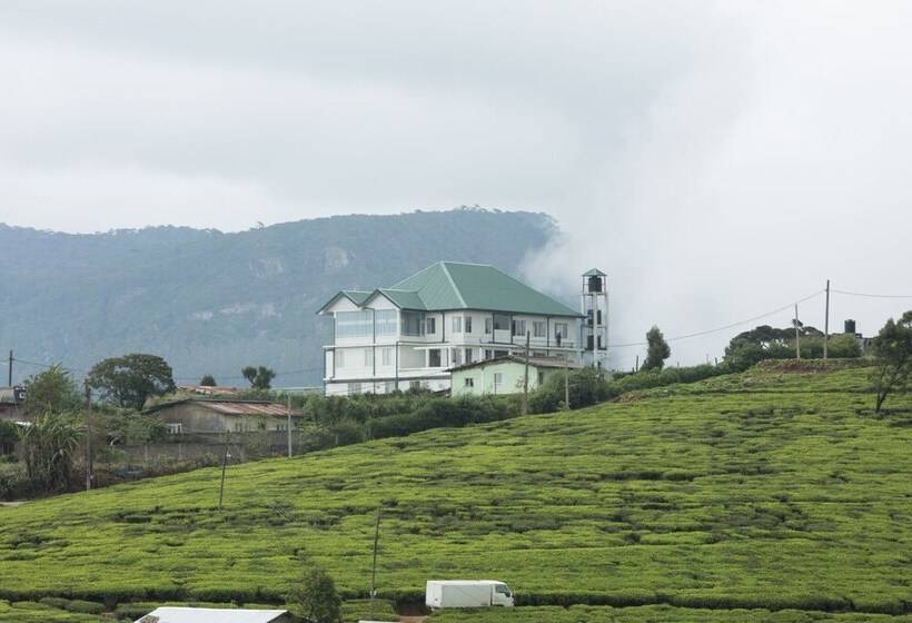 Fotos del hotel Grand Camellia:  7