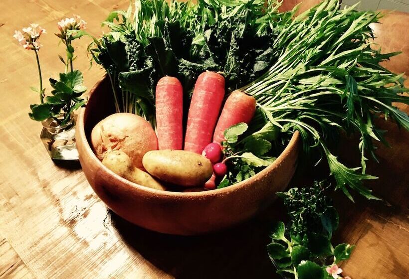 Fotos del hotel Rock Star:  14