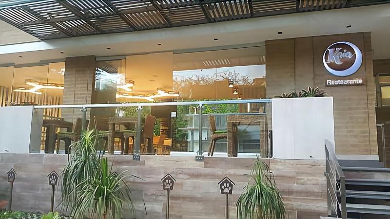 Fotos del hotel Terra Bio:  12