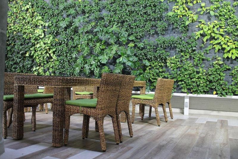 Fotos del hotel Terra Bio:  20