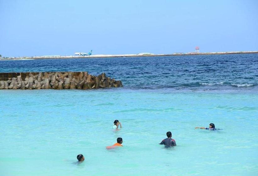 Fotos del hotel The Melrose:  9