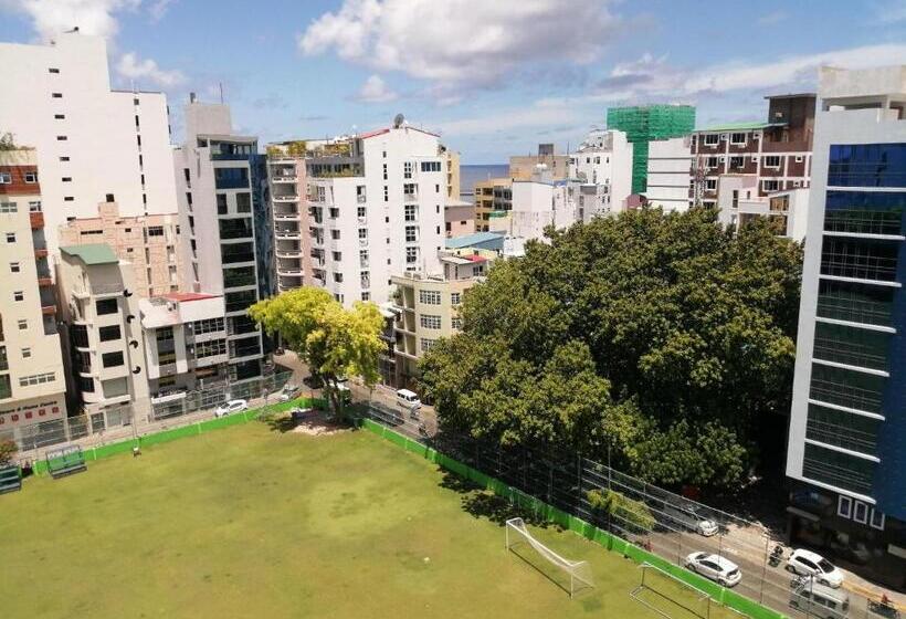 Fotos del hotel The Melrose:  7