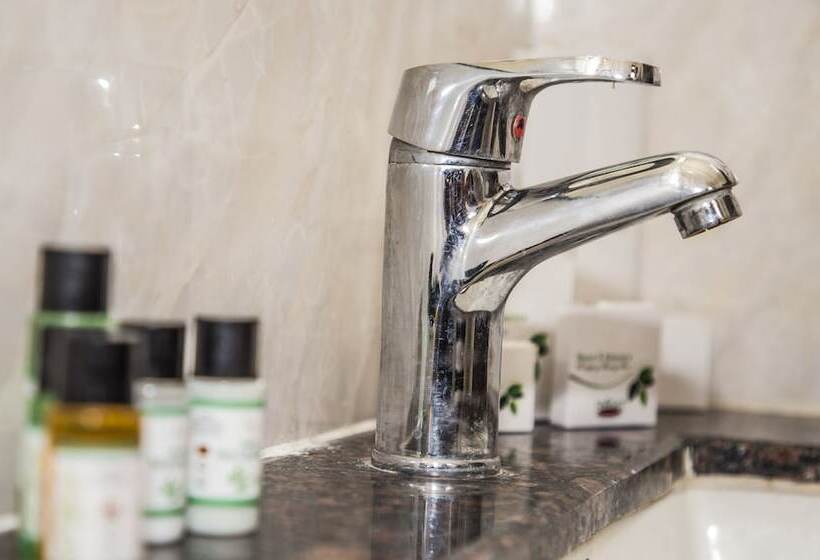 Fotos del hotel Pushkar Legacy:  18