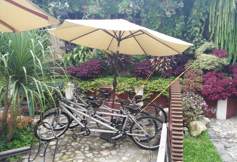Fotos del hotel Los Olivos Boutique Hotel Antigua Guatemala:  10