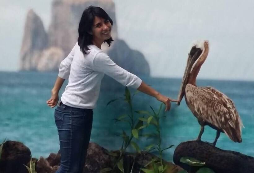 Fotos del hotel Hostal Perla Real Inn:  5