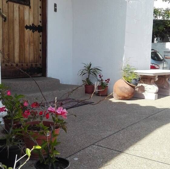 Fotos del hotel Mediterraneo B&b:  5