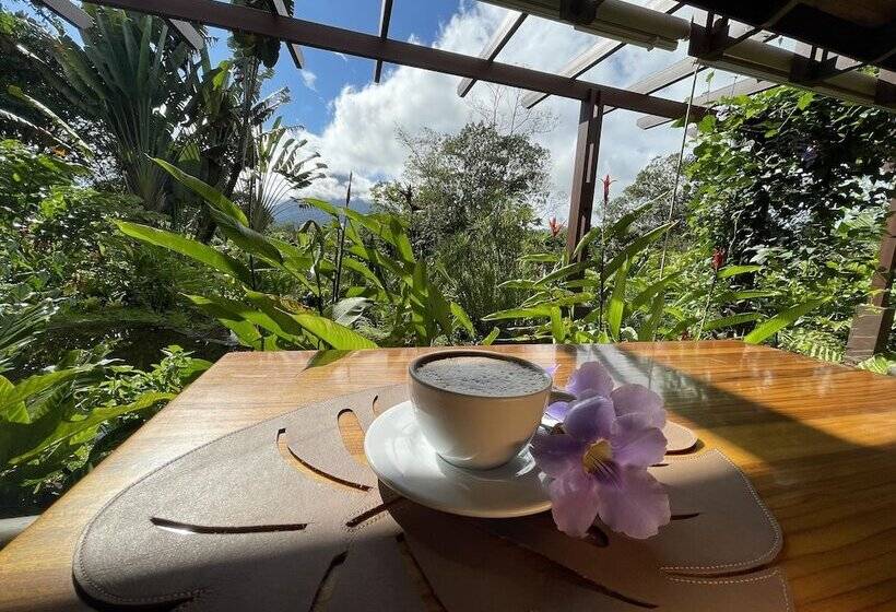 Fotos del hotel Lost Iguana Resort And Spa:  14