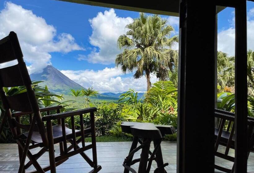 Fotos del hotel Lost Iguana Resort And Spa:  11