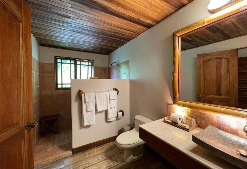 Fotos del hotel Lost Iguana Resort And Spa:  13