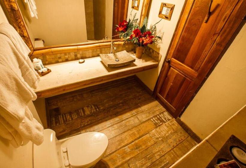 Fotos del hotel Lost Iguana Resort And Spa:  18