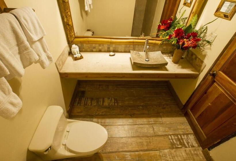 Fotos del hotel Lost Iguana Resort And Spa:  16