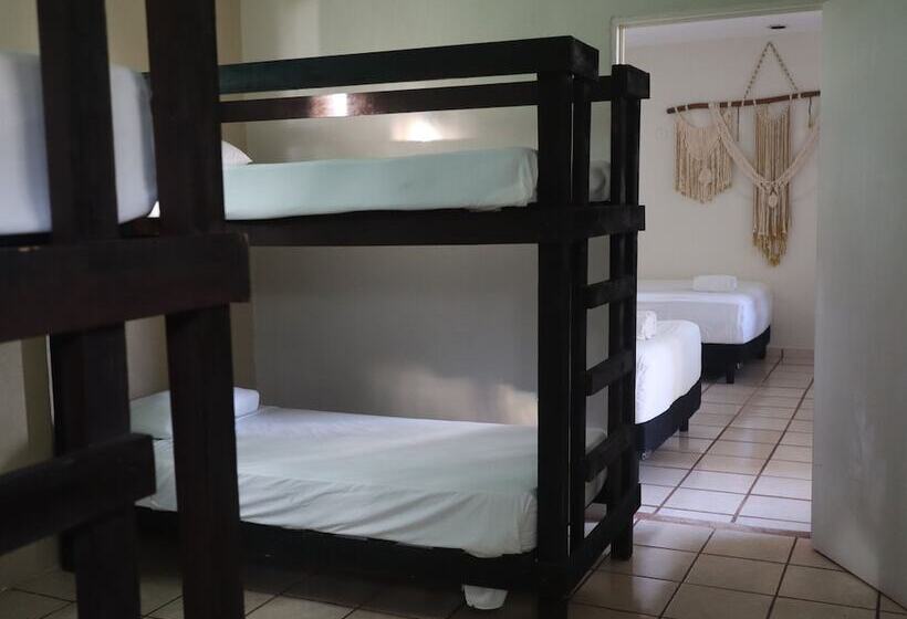 Fotos del hotel Las Tres Palmas:  11