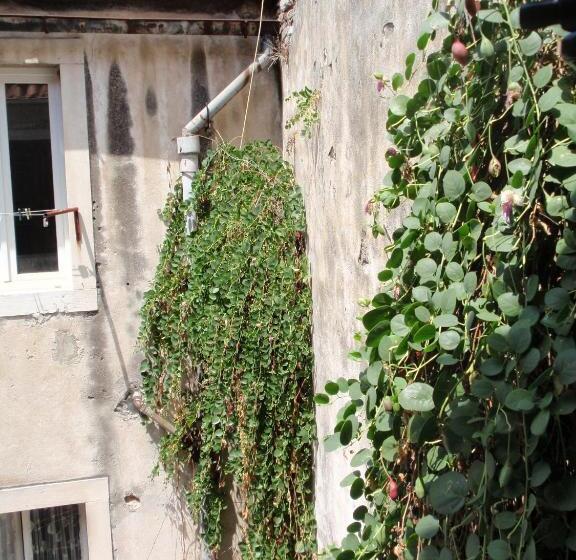 Fotos del hotel Malena Palace:  14