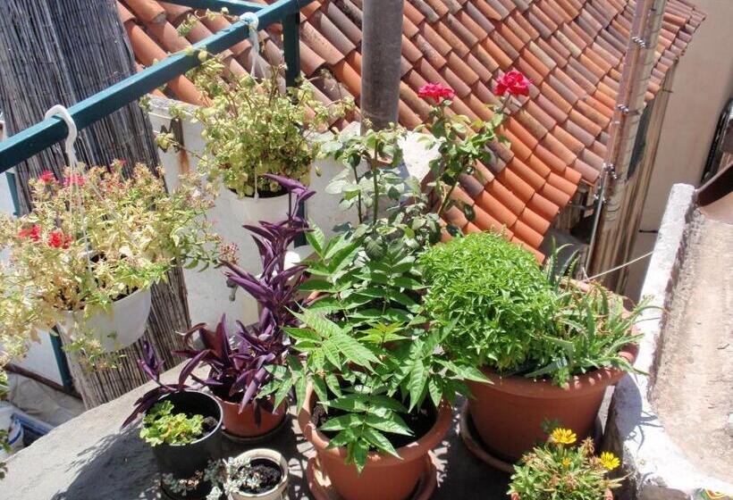 Fotos del hotel Malena Palace:  8